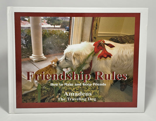 "Friendship Rules" children's book