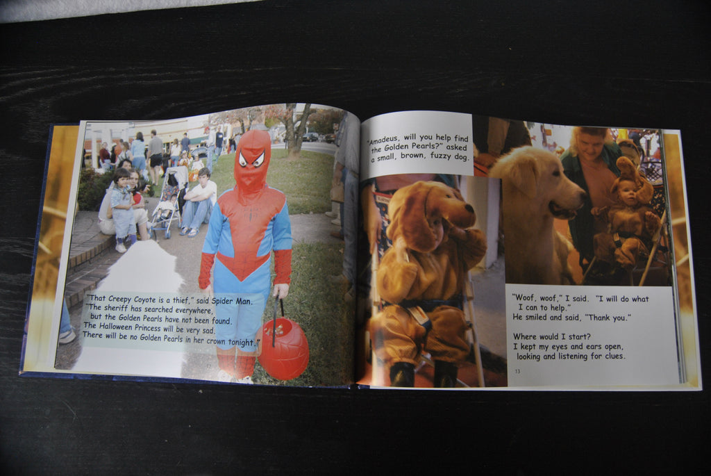 "Mystery of the Golden Pearls" hardcover children's book