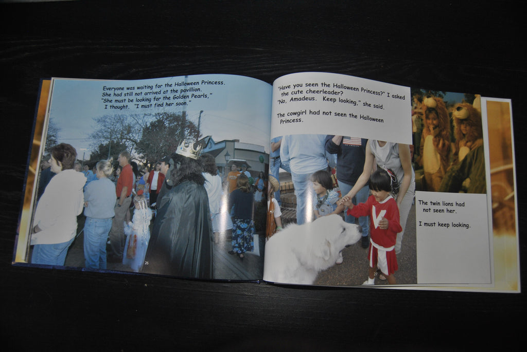 "Mystery of the Golden Pearls" hardcover children's book