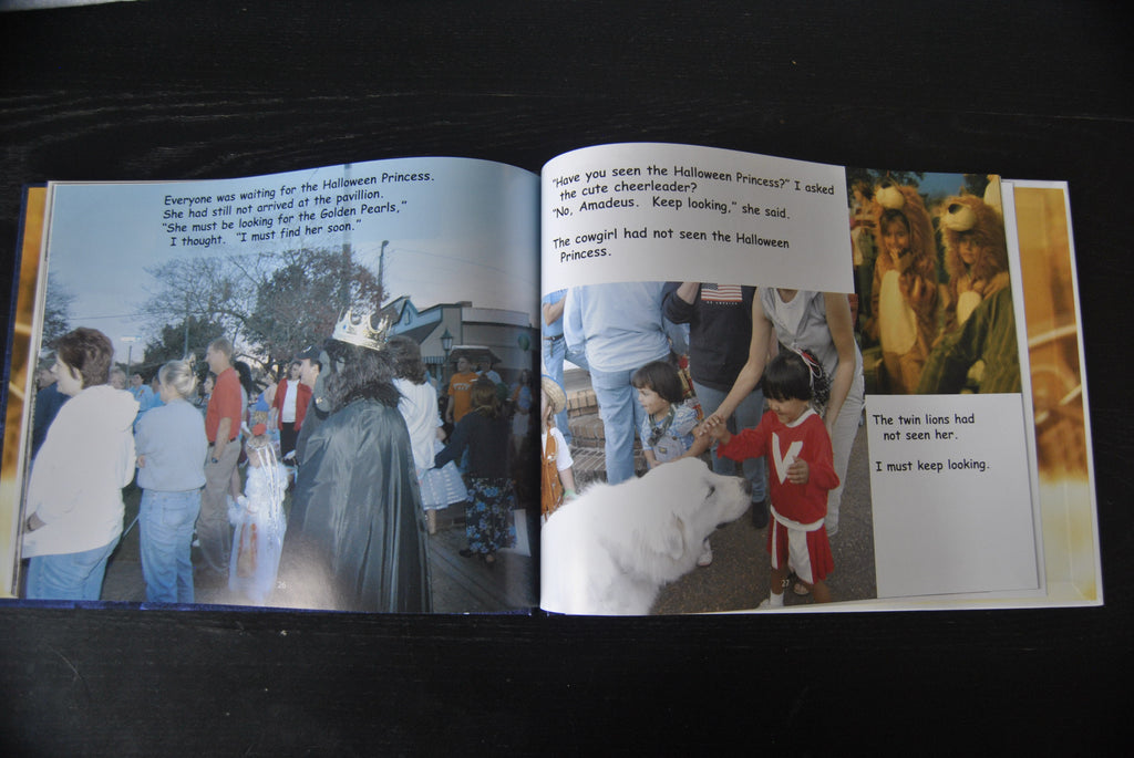 "Mystery of the Golden Pearls" hardcover children's book