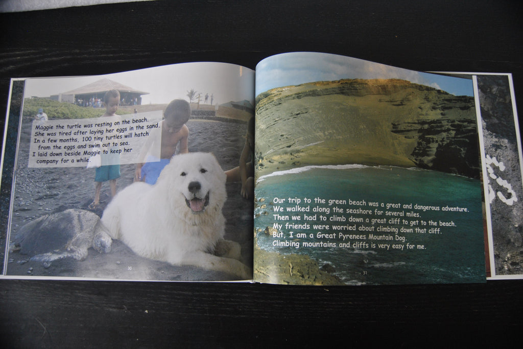 "Aloha Adventure" hardcover children's book