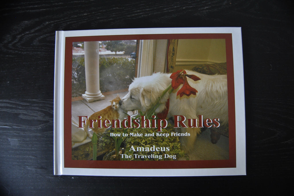 "Friendship Rules" hardcover book