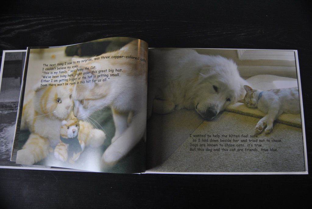 "Friendship Rules" hardcover book