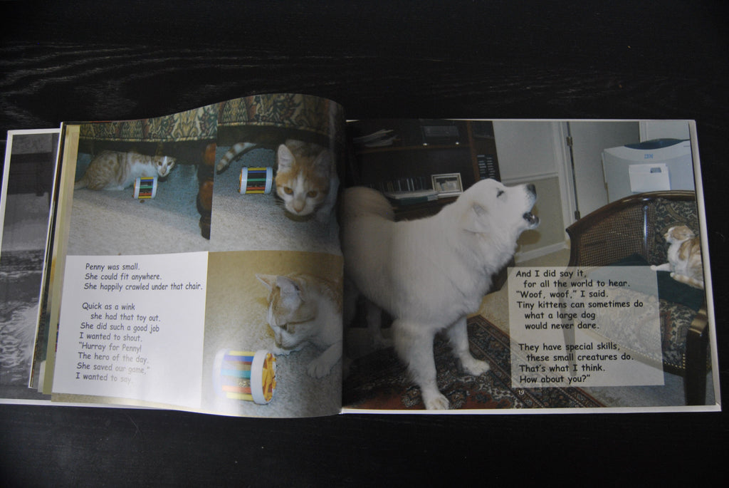 "Friendship Rules" hardcover book